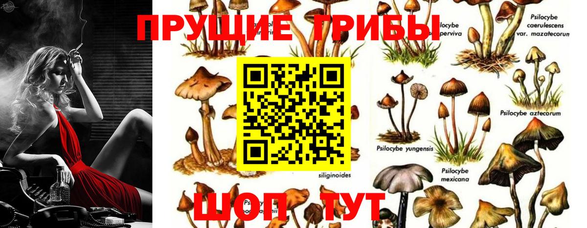 Галлюциногенные грибы ЛСД  Вход с VPN  Сокол 